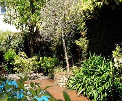 Cotter House Luxury Retreat Bed and Breakfast Auckland Exteriör bild
