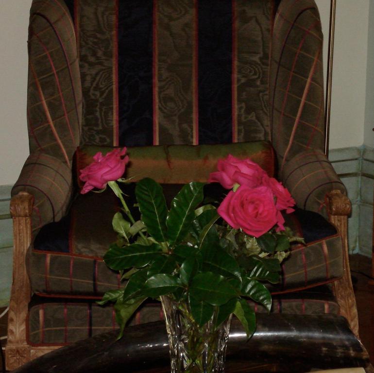 Cotter House Luxury Retreat Bed and Breakfast Auckland Exteriör bild